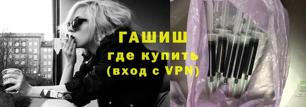 гидра Богородск