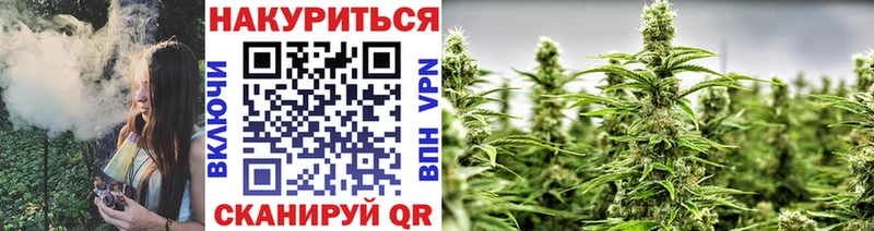 Марихуана семена  МЕГА маркетплейс  Волосово  наркотики 